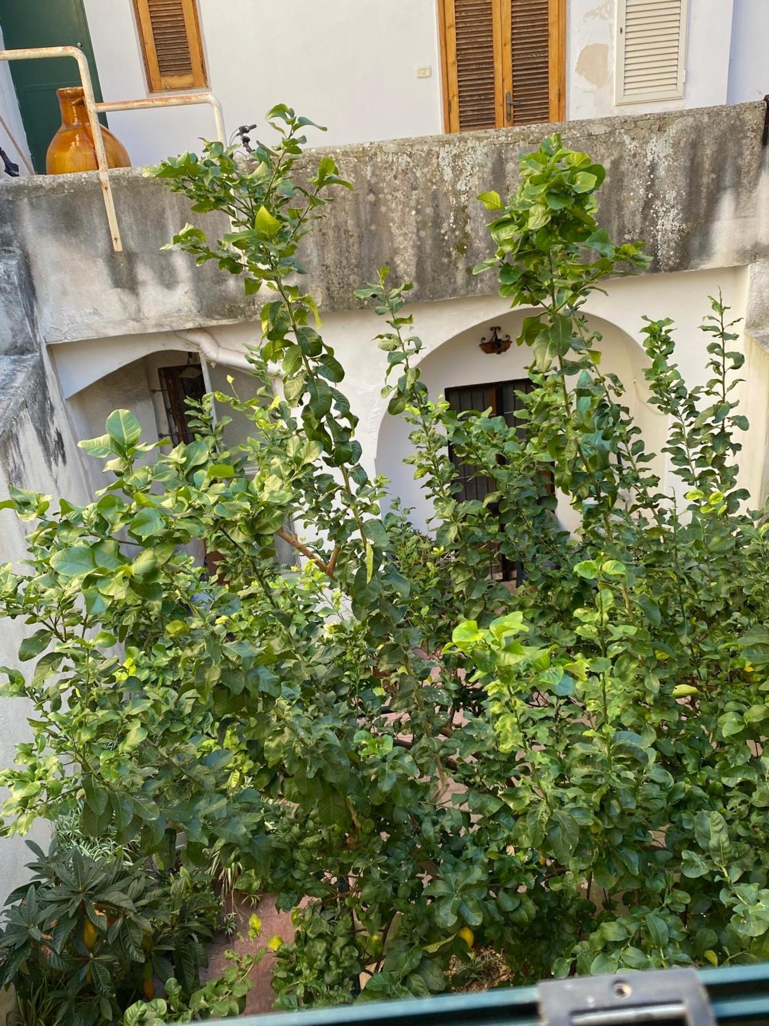 Casetta Zia Tetti Lecce Buitenkant foto